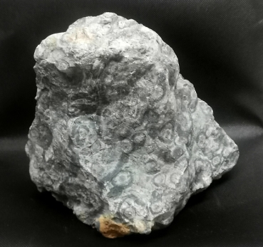 Kabamba Jaspis